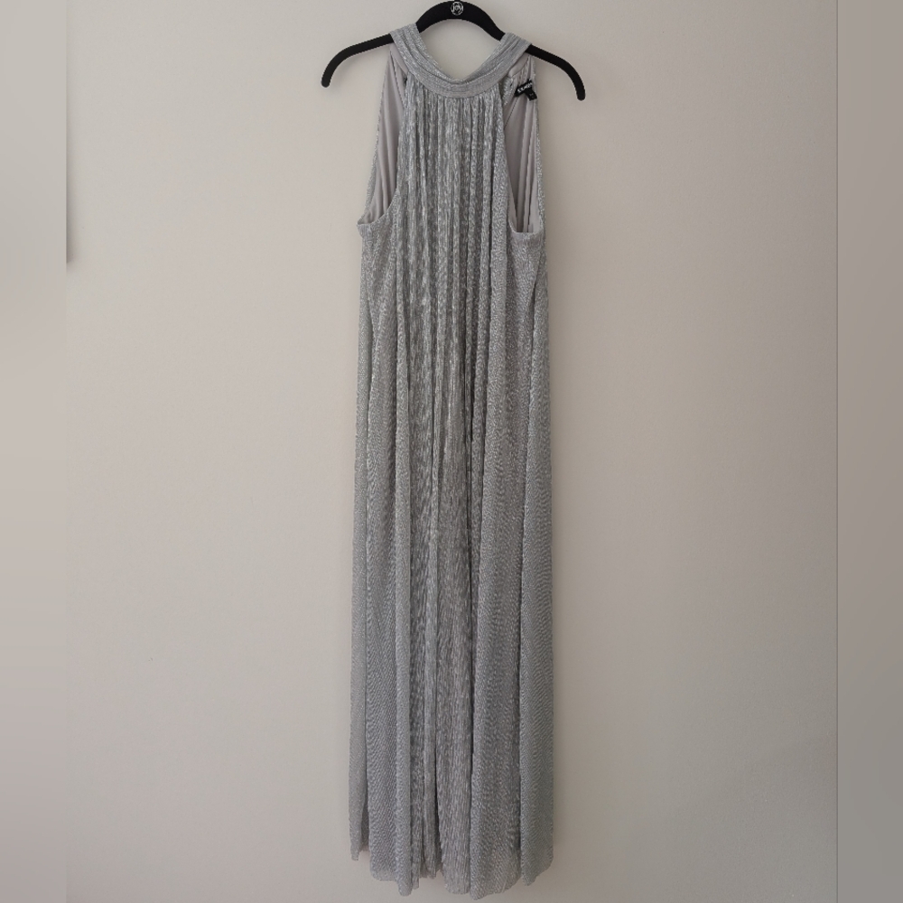 Express Silver Pleated Halter Maxi Gown